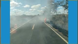 Bombeiros combatem incêndio às margens de rodovia