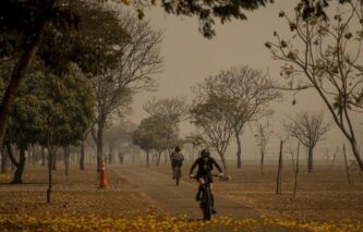 Queimadas: setor estima perda de mais de 400 mil hectares de cana-de-açúcar em todo o país.