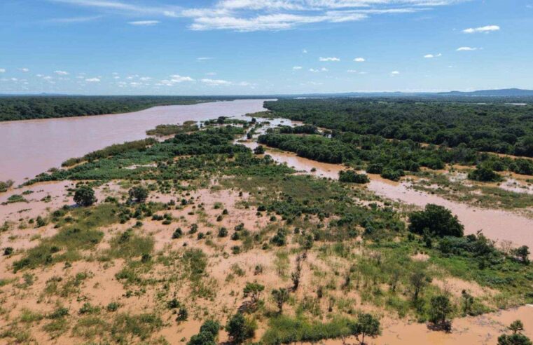 São Francisco em cheia Cidades de Minas e Bahia em alerta máxima após nível do Rio subir.