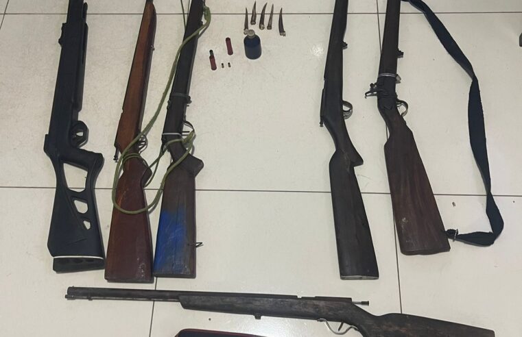 Arsenal de armas de caça apreendidas