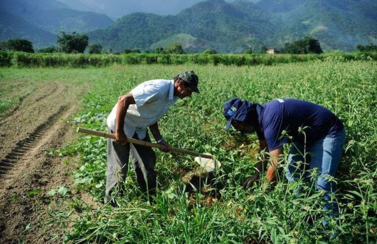 Prazo para preencher CAR e garantir benefícios do Programa de Regularização Ambiental termina no dia 31 de dezembro