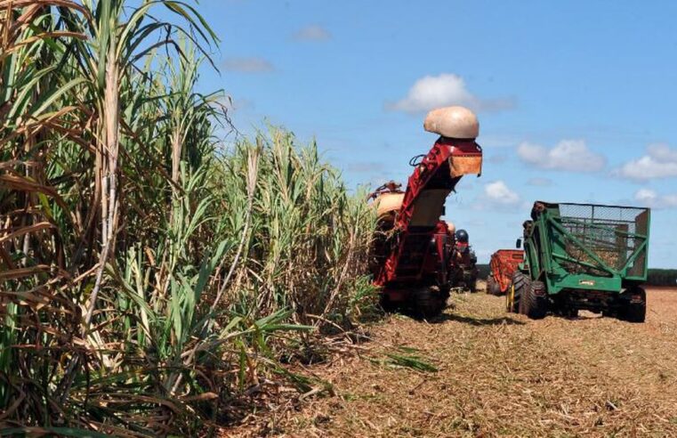 Contratação de crédito rural para safra 2020/2021 atinge R$ 125 bilhões em seis meses