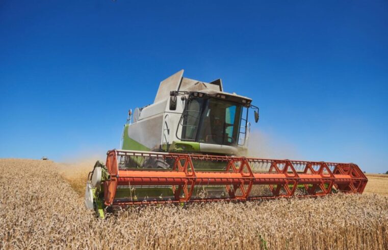 Brasil terá safra recorde de 340,5 milhões de toneladas em 2025