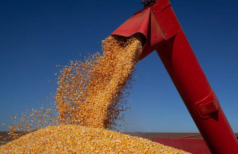 Chuvas intensas em Minas Gerais e Goiás atrasam plantio do milho e ameaçam colheita do feijão