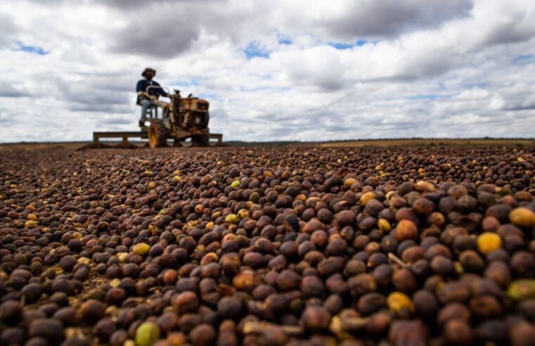 Câmara aprova análise acelerada para novas regras do Seguro Rural no Brasil
