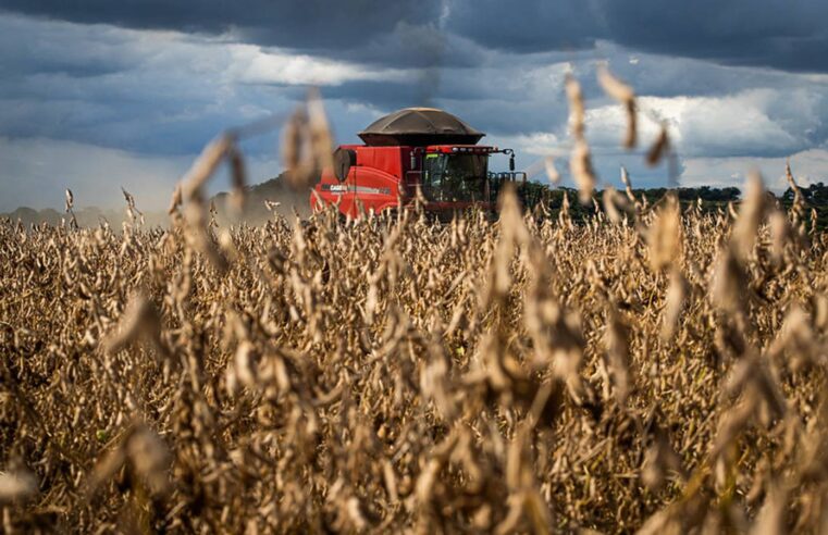 O que produtores devem esperar do clima nos próximos meses nas diferentes regiões do Brasil?
