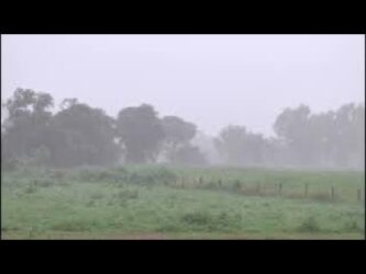 Dados importantes sobre a chuva de ontem, terça-feira