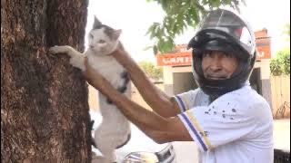 Cães e gatos são levados para vacinar