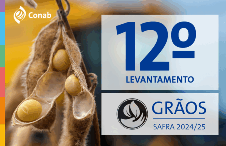 Safra 2024/25 atinge recorde histórico de 350,2 milhões de toneladas de grãos