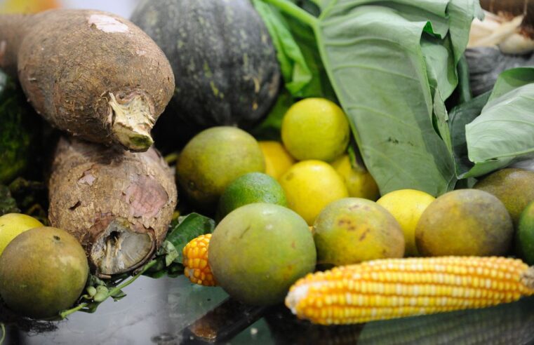 Vitamina D pode trazer benefícios e malefícios para a saúde.