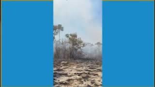 Incêndio destrói Parque Estadual Veredas do Peruaçu