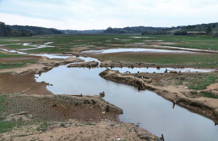 Em Minas Gerais, 126 cidades atingidas pela seca entram em situação de emergência