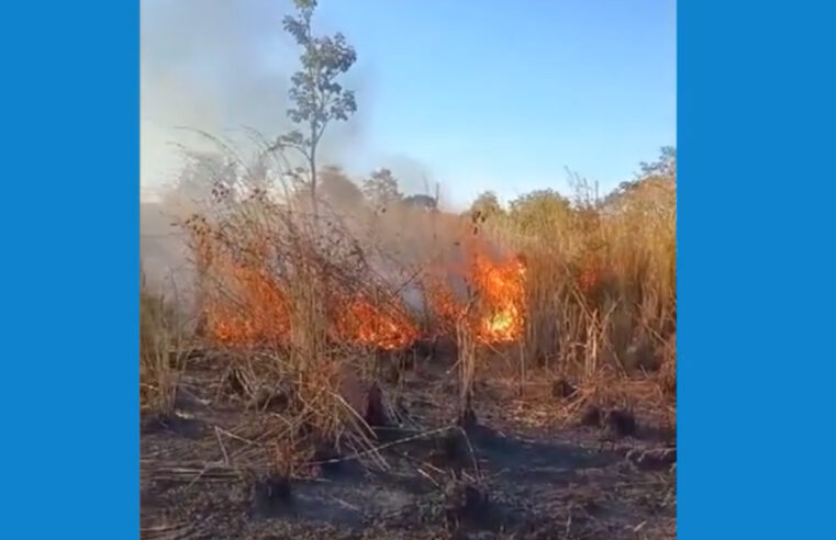 Bombeiros combatem incêndio em vegetação próxima a residências