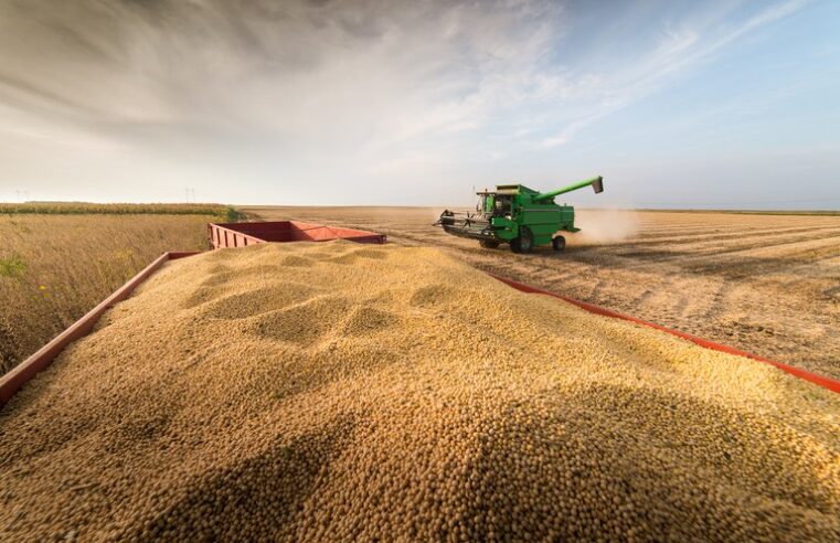 Produção de grãos deve superar 270 milhões de toneladas; um recorde na história do país