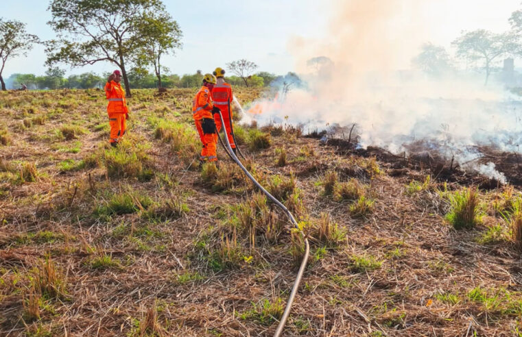 Fogo destrói área de 20 hectares