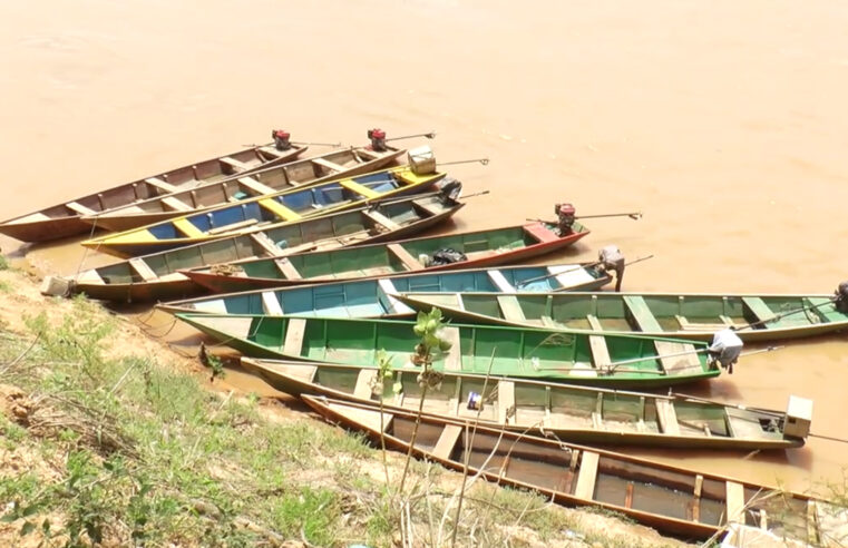 Começou o período da piracema. Pesca está restrita