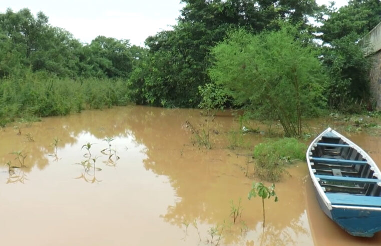 Nível do Rio São Francisco subiu cerca de cinco metros no Norte de Minas e na Bahia