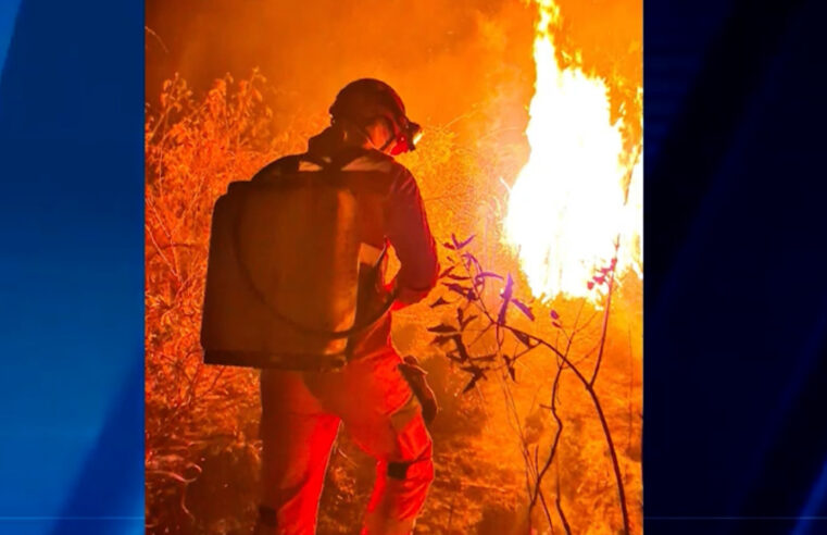 Bombeiros combatem incêndio em vegetação nas proximidades do Bairro Alvorada