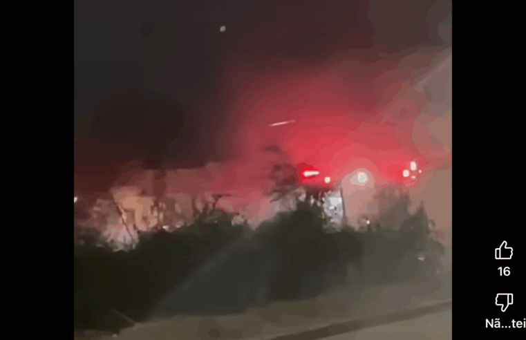 Fogo em vegetação na Vila São João