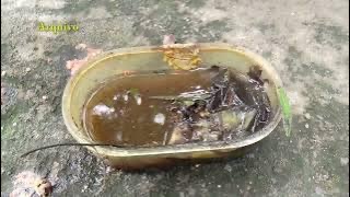 LIRAa indica queda da infestação de dengue na cidade
