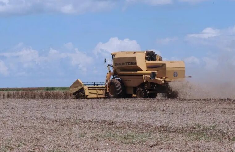 Valor Bruto da Produção agrícola de Minas Gerais registrou mais de R$ 123 bilhões.