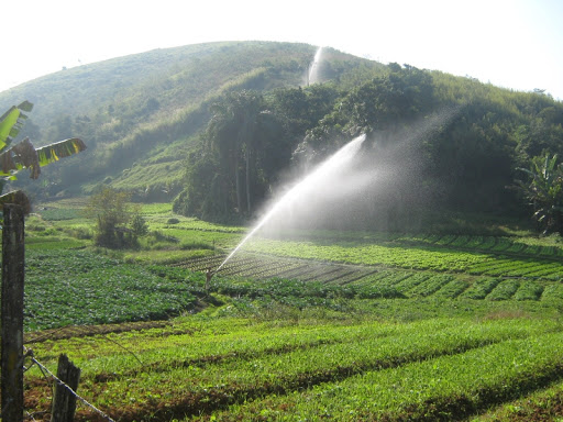 Mapa lança Programa de Fomento à Agricultura Irrigada no Nordeste