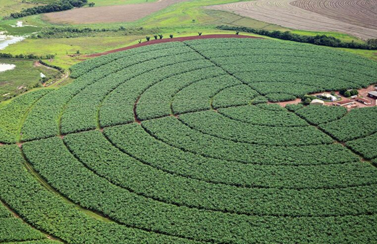 Brasil prevê reduzir emissão de 1 bilhão de toneladas de gases do efeito estufa na agricultura até 2030
