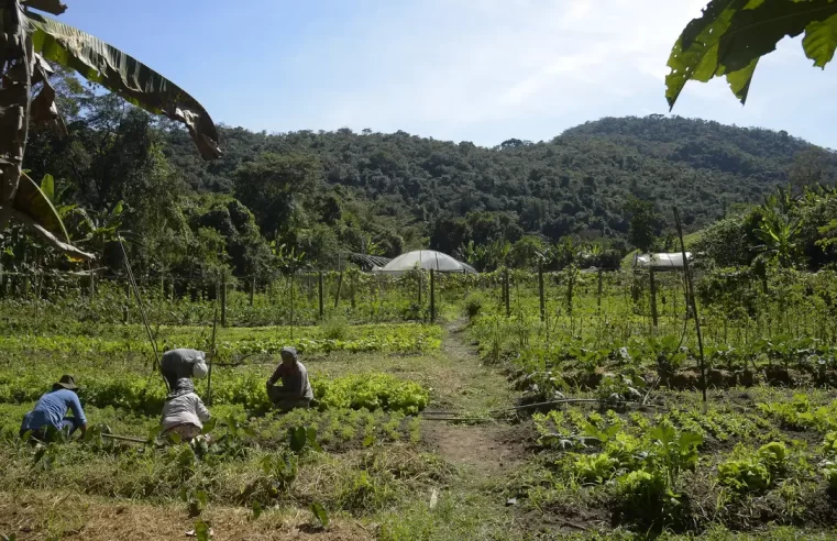 Mais de 1,4 mil municípios estão aptos às linhas de crédito para liquidar ou amortizar dívidas rurais; veja lista