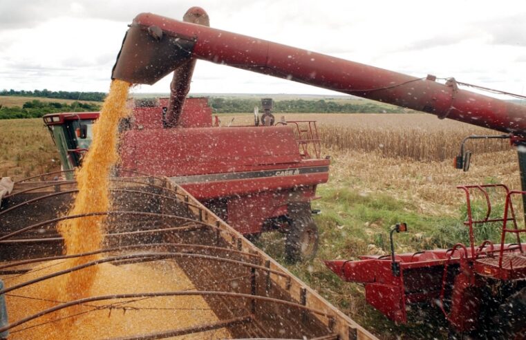 Conab cria ferramenta que facilita comercialização de insumos agropecuários