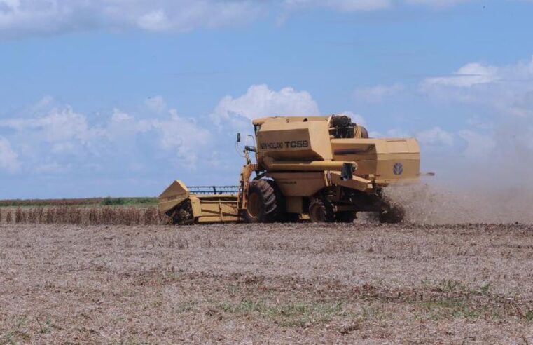 Agronegócio brasileiro fecha primeiro semestre com superávit acumulado de US$ 74 bi.