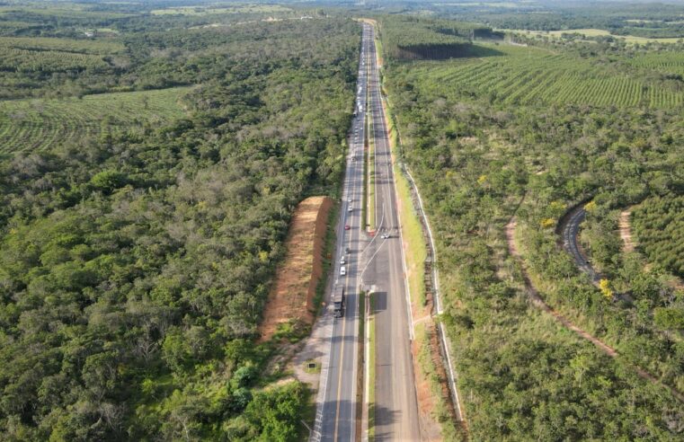 Acidentes com óbitos na BR-135.