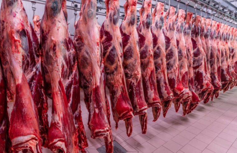 Brasil amplia exportação de carne bovina ao Vietnã