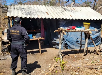 PF e Ministério do Trabalho combatem trabalho degradante em fazenda no Norte de Minas