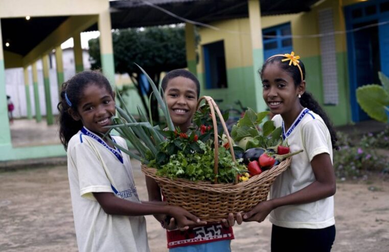Prazo para adesão ao Novo Pronacampo é prorrogado até 30 de novembro