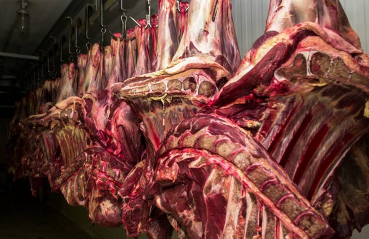Restrição da China à carne bovina pode causar impacto de US$ 3 bilhões ao Brasil