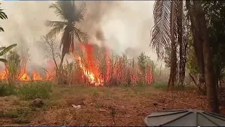 Incêndio de grande proporção queima plantações na comunidade de Sítio