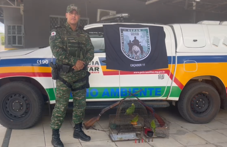 Ação da Polícia Militar de Meio Ambiente em Januária