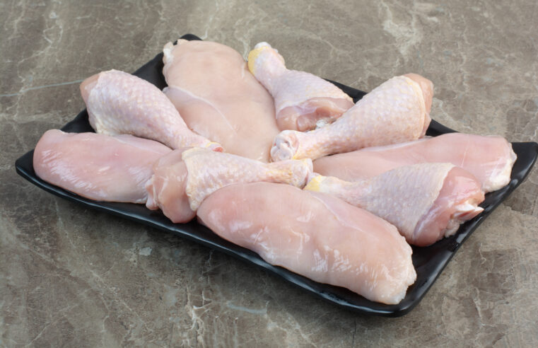 Gripe aviária: produtores de carne de frango em estado de alerta, aponta Cepea