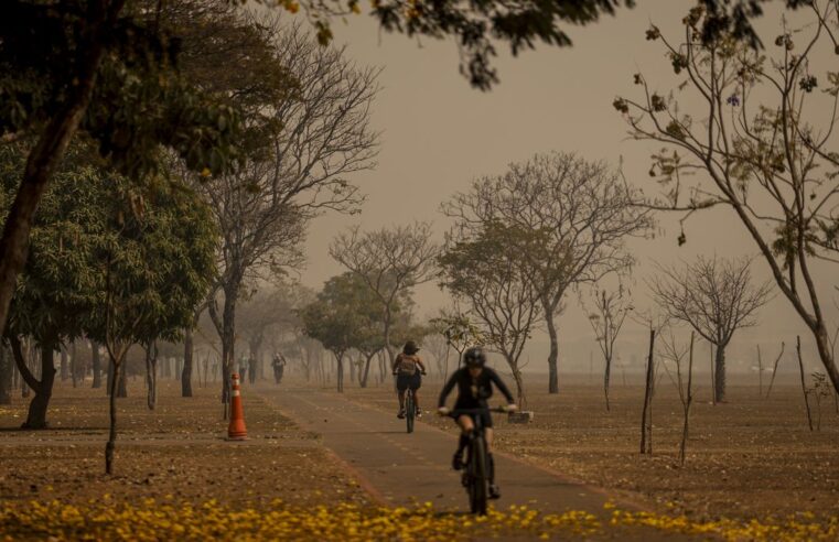 Brasil já registrou 172 mil focos de incêndio em 2024; veja como minimizar impactos na saúde.