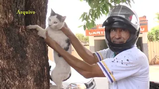 Campanha contra a raiva em cães e gatos começa nesta quarta na cidade