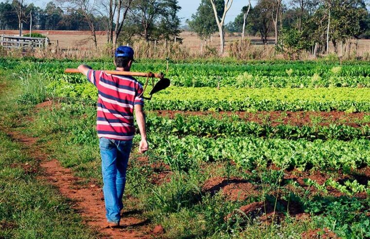 Produtores rurais ganham mais prazo para emitir o cadastro da agricultura familiar.