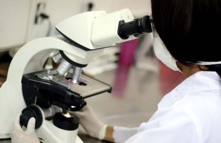 Doação de Órgãos: Prova Cruzada Virtual agiliza transplantes e reduz risco de rejeição