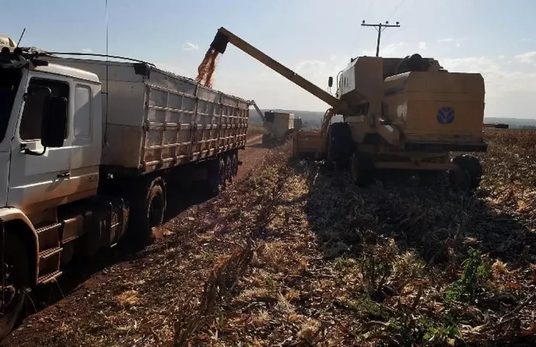 PIB cresce 1,4% puxado pela agropecuária