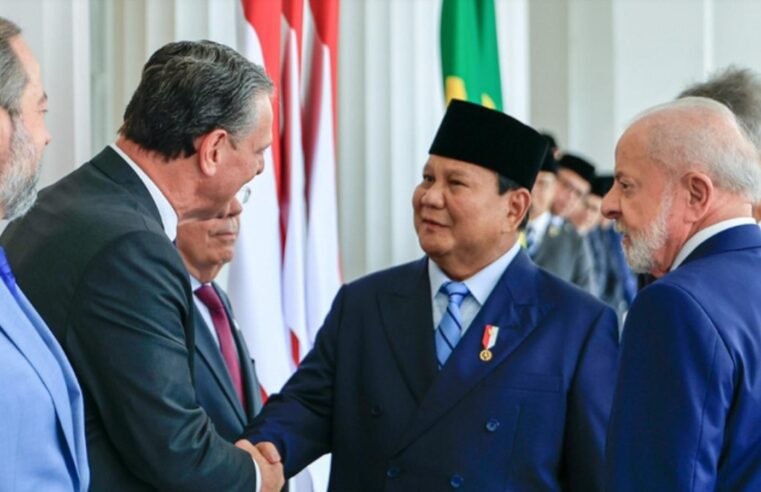 Brasil abre seis novos mercados e retoma exportações de frango à Malásia