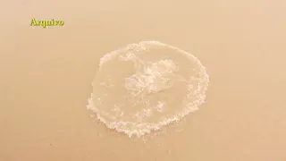 Rio São Francisco. Meninos pulando do cais somente em imagens de arquivo