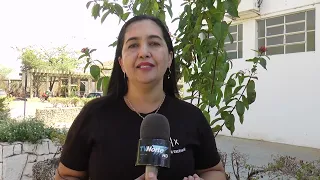 Artistas de Januária são chamados para audiência pública