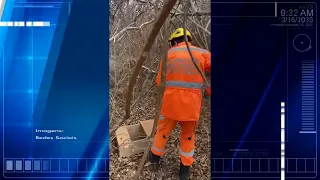 Jiboia de grande porte é encontrada em residência