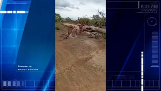 Vendaval no Remansinho derruba árvores e arranca telhados das casas