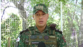 PM do Meio Ambiente identifica menor que danificou árvore no centro da cidade