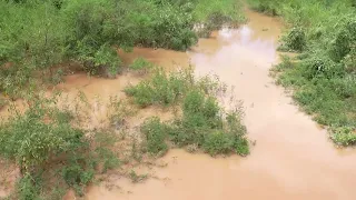 Rio continua ativo. Confira como está a situação do nível do Velho Chico
